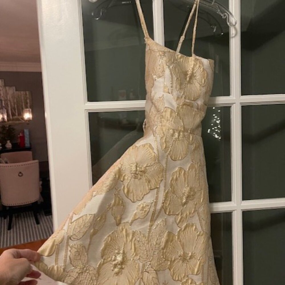 Windsor Dress